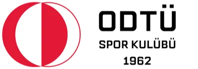 Falcons logosu