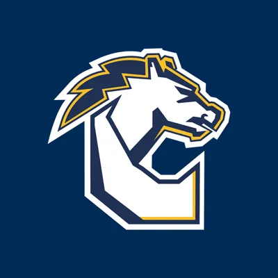 Şile Deniz Chargers logosu